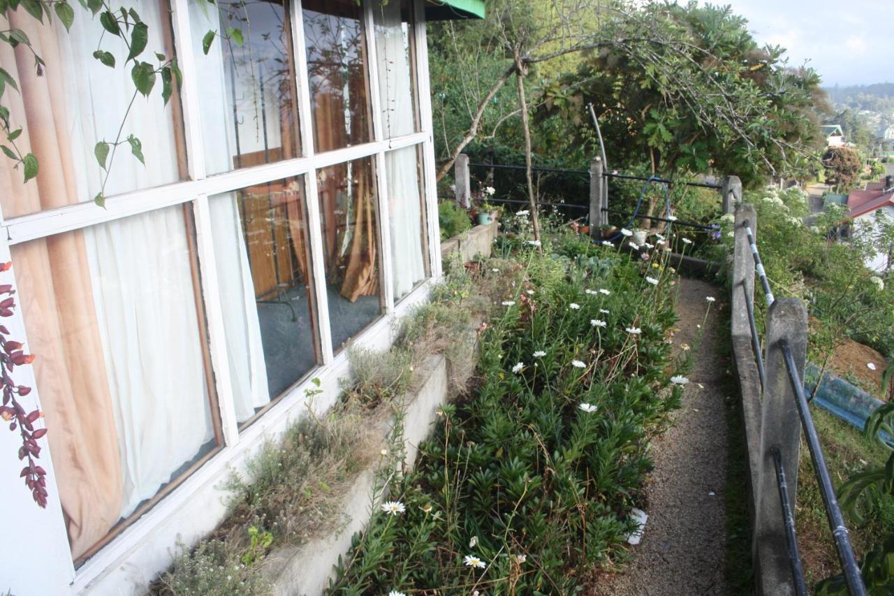 Bezel Bungalow نوفارا إيلِيا المظهر الخارجي الصورة