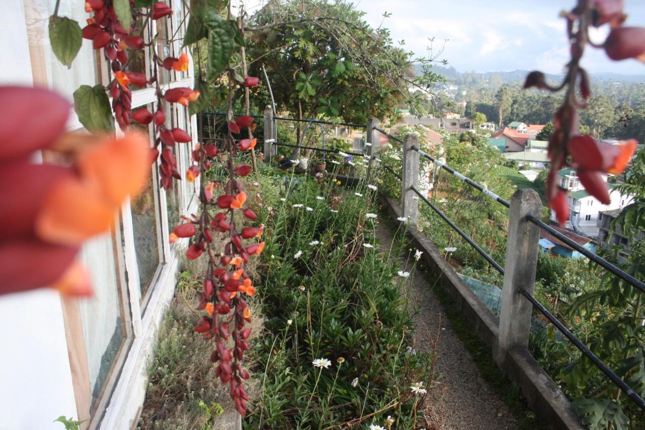 Bezel Bungalow نوفارا إيلِيا المظهر الخارجي الصورة