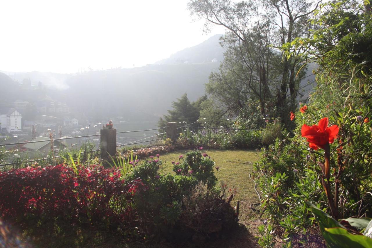 Bezel Bungalow نوفارا إيلِيا المظهر الخارجي الصورة