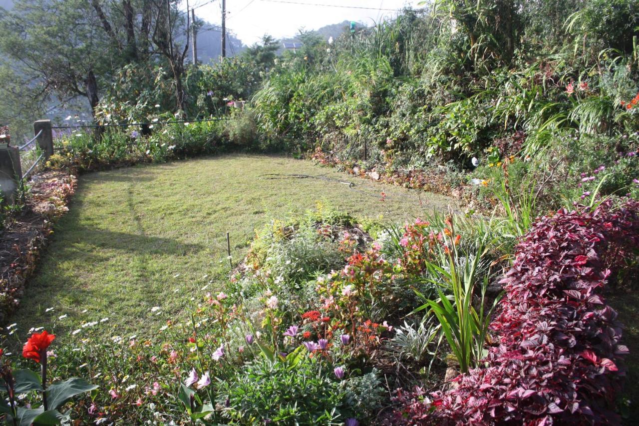 Bezel Bungalow نوفارا إيلِيا المظهر الخارجي الصورة