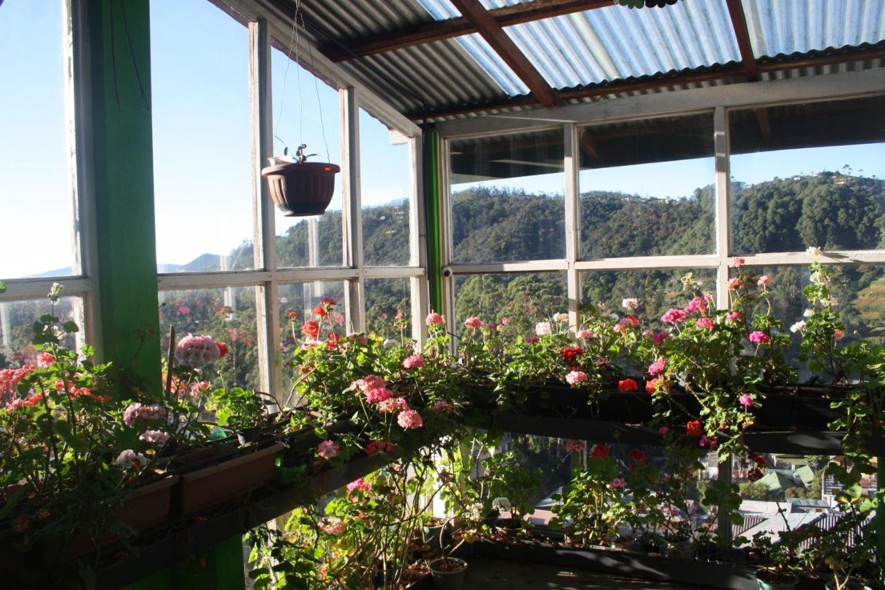Bezel Bungalow نوفارا إيلِيا المظهر الخارجي الصورة